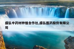 <b>ʢ����ҩ����ֲ������,ʢ��ҽҩ�ɷ����޹�˾</b>