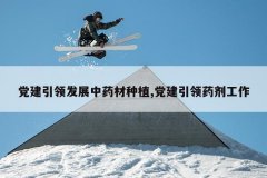 <b>�������췢չ��ҩ����ֲ,��������ҩ������</b>