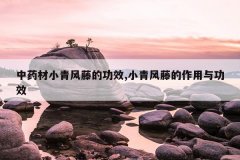 <b>��ҩ��С����ٵĹ�Ч,С����ٵ������빦Ч</b>