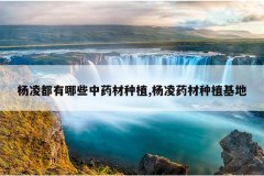 <b>���趼����Щ��ҩ����ֲ,����ҩ����ֲ����</b>