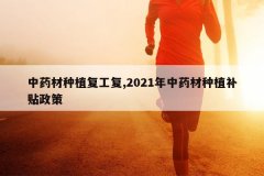 <b>��ҩ����ֲ������,2021����ҩ����ֲ��������</b>