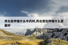 <b>�ձ�����ֲʲô��ҩ��,�ձ�������ֲʲô�����</b>