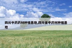 <b>�Ĵ���ҩҩ����ֲ����,�Ĵ�ʡ��ҩ����ֲ����</b>