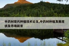 <b>��ҩ���ִ���ֲ��������,��ҩ����ֲ��չ��״���г�ǰ��</b>