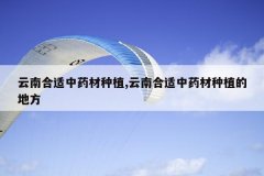 <b>���Ϻ�����ҩ����ֲ,���Ϻ�����ҩ����ֲ�ĵط�</b>