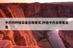 <b>��ҩ����ֲ�豸��������,��ֲ��ҩȥ�������</b>