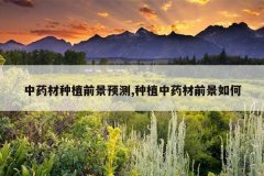 <b>��ҩ����ֲǰ��Ԥ��,��ֲ��ҩ��ǰ�����</b>