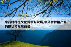 <b>��ҩ����ֲ�Ļ������뷢չ,��ҩ����ֲ��ҵ����״�ͷ�չǰ��</b>