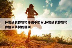 <b>����ͨũ�������ֲ��ҩ��,����ͨũ�������ֲ��ҩ�ĵ�����</b>