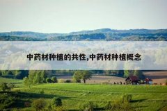 <b>��ҩ����ֲ�Ĺ���,��ҩ����ֲ����</b>