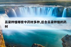 <b>������ֲ��Щ��ҩ�Ķ���,�ʺ�������ֲ��ҩ��</b>