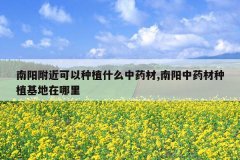 <b>��������������ֲʲô��ҩ��,������ҩ����ֲ����������</b>