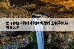 <b>������ֲ��ҩ�Ĳ�����Ǯ,����ֲ��ҩ��,����������</b>