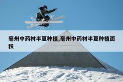 <b>������ҩ�İ�����ֲ,������ҩ�İ�����ֲ���</b>