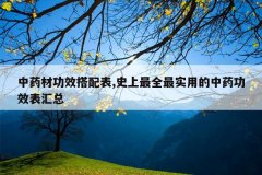 <b>��ҩ�Ĺ�Ч�����,ʷ����ȫ��ʵ�õ���ҩ��Ч������</b>