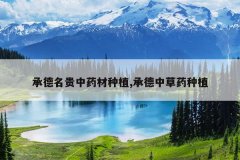 <b>�е�������ҩ����ֲ,�е��в�ҩ��ֲ</b>