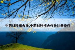 <b>��ҩ����ֲ����,��ҩ����ֲ������ע������</b>