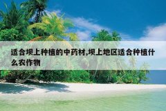 <b>�ʺϰ�����ֲ����ҩ��,���ϵ����ʺ���ֲʲôũ����</b>