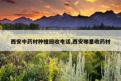 <b>������ҩ����ֲ���յ绰,����������ҩ��</b>