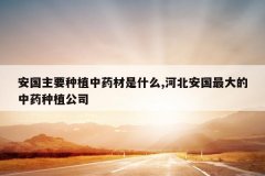 <b>������Ҫ��ֲ��ҩ����ʲô,�ӱ�����������ҩ��ֲ��˾</b>
