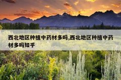 <b>����������ֲ��ҩ�Ķ���,����������ֲ��ҩ�Ķ���֪��</b>
