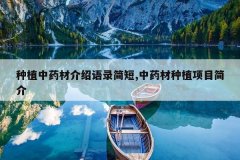<b>��ֲ��ҩ�Ľ�����¼���,��ҩ����ֲ��Ŀ���</b>