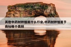 <b>������ҩ����ֲ��ʲô��ҵ,��ҩ����ֲ�����̱��ĸ����</b>