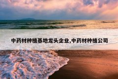 <b>��ҩ����ֲ������ͷ��ҵ,��ҩ����ֲ��˾</b>