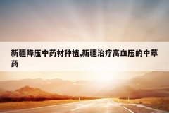 <b>�½���ѹ��ҩ����ֲ,�½����Ƹ�Ѫѹ���в�ҩ</b>
