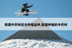 <b>�½���ҩ���ʺ���ֲƷ��,�½���ֲ����ҩ��</b>