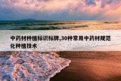 <b>��ҩ����ֲ��ʶ����,30�ֳ�����ҩ�Ĺ淶����ֲ����</b>