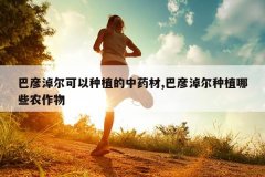 <b>�����׶�������ֲ����ҩ��,�����׶���ֲ��Щũ����</b>