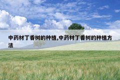 <b>��ҩ�Ķ���������ֲ,��ҩ�Ķ���������ֲ����</b>