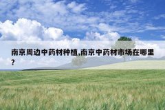 <b>�Ͼ��ܱ���ҩ����ֲ,�Ͼ���ҩ���г�������?</b>