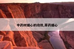 <b>��ҩ��ϸ�ĵĹ�Ч,��ҩϸ��</b>