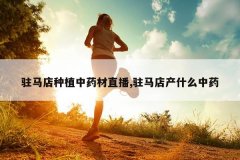 <b>פ������ֲ��ҩ��ֱ��,פ�����ʲô��ҩ</b>
