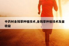 <b>��ҩ�Ľ�Ǯ����ֲ����,��Ǯ����ֲ������Ķ����</b>