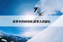 <b>ŷ����ҩ�Ĺ�Ч,ŷ����ҩ��λ</b>