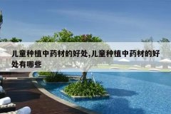 <b>��ͯ��ֲ��ҩ�ĵĺô�,��ͯ��ֲ��ҩ�ĵĺô�����Щ</b>