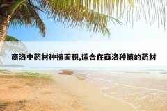 <b>������ҩ����ֲ���,�ʺ���������ֲ��ҩ��</b>