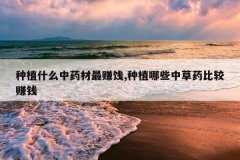<b>��ֲʲô��ҩ����׬��,��ֲ��Щ�в�ҩ�Ƚ�׬Ǯ</b>