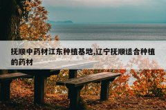 <b>��˳��ҩ�Ľ�����ֲ����,������˳�ʺ���ֲ��ҩ��</b>