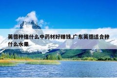 <b>Ӣ����ֲʲô��ҩ�ĺ�׬Ǯ,�㶫Ӣ���ʺ���ʲôˮ��</b>