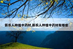 <b>��ũ����ֲ��ҩ��,��ũ����ֲ��ҩ������Щ</b>