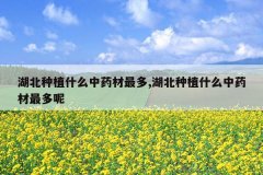 <b>������ֲʲô��ҩ�����,������ֲʲô��ҩ�������</b>