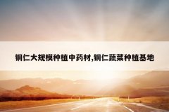 <b>ͭ�ʴ��ģ��ֲ��ҩ��,ͭ���߲���ֲ����</b>