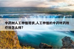 <b>��ҩ���˹���ֲ��״,�˹���ֲ����ҩ��ҩЧ��Ч��ô��?</b>