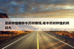 <b>Ŀǰ��ֲ������ҩ��׬Ǯ,ɶ��ҩ����ֲ�������</b>