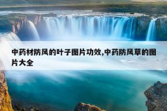 <b>��ҩ�ķ����Ҷ��ͼƬ��Ч,��ҩ����ݵ�ͼƬ��ȫ</b>