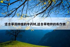 <b>�ʺϺ�����ֲ����ҩ��,�ʺϺ����ֵ�ũ����</b>